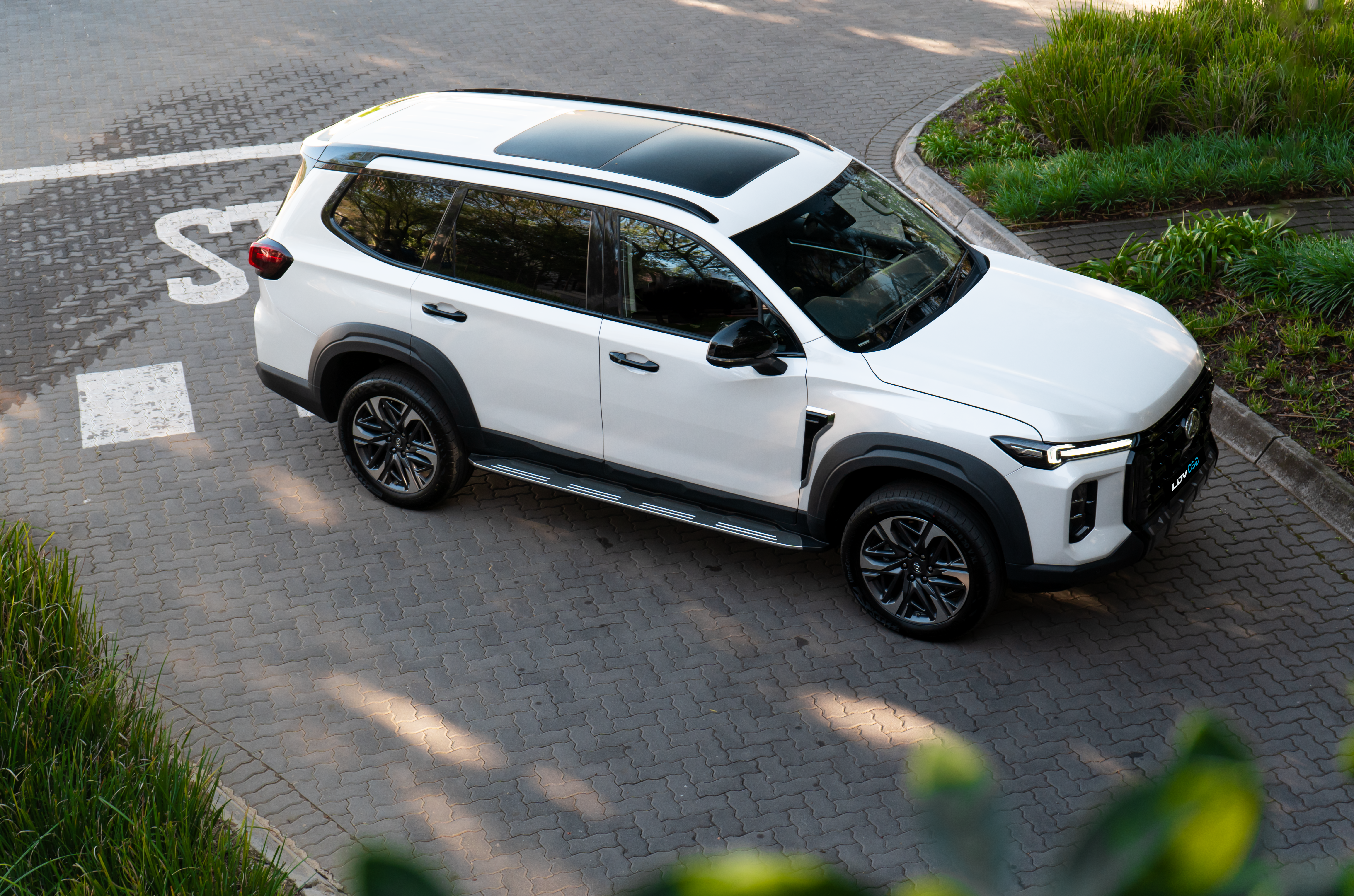 ldv,d90,china,south africa