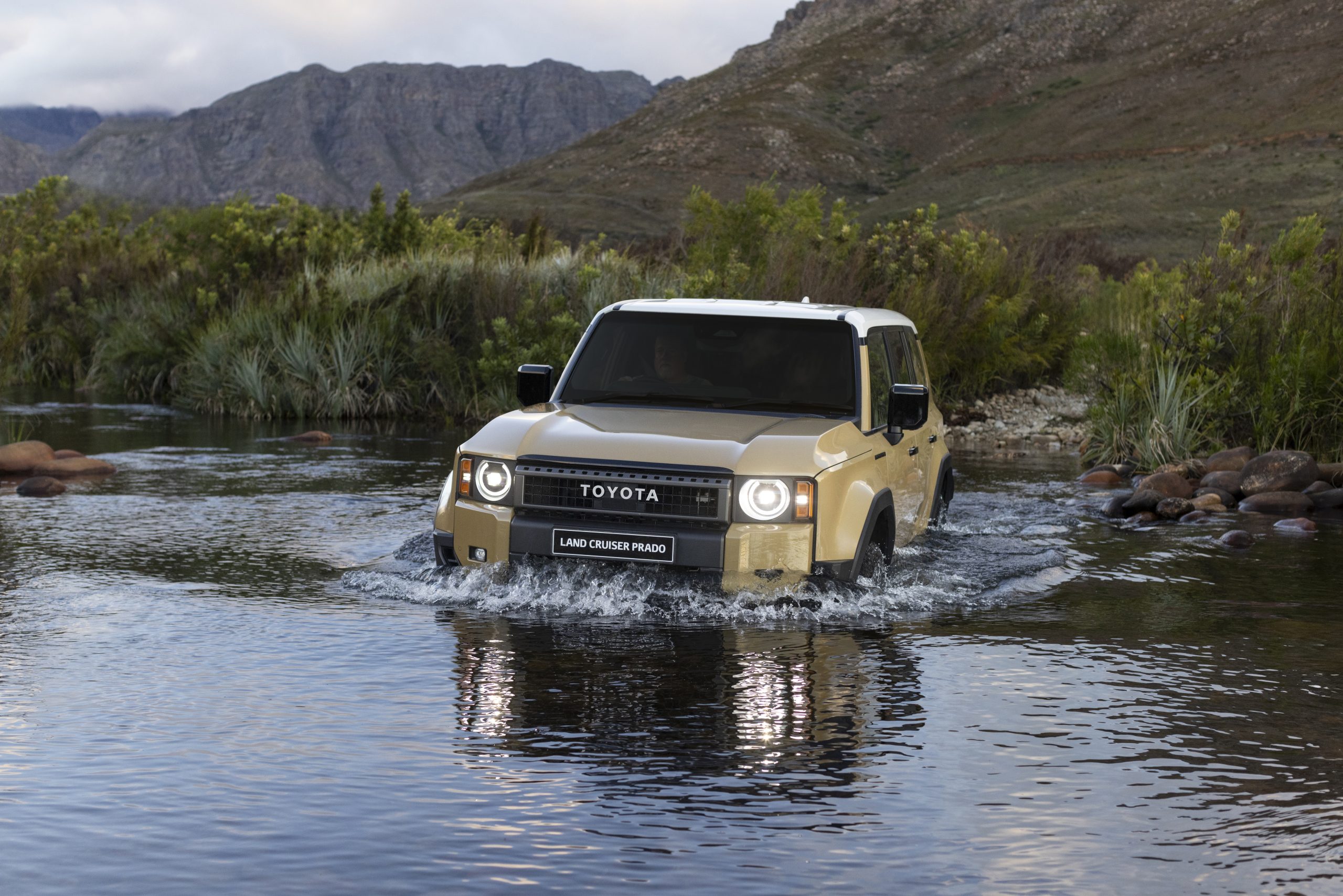 toyota,land cruiser,prado,japan,south africa